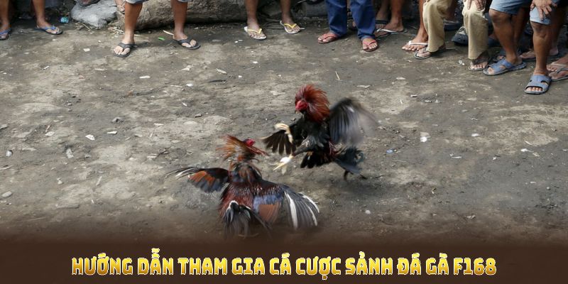 Hướng dẫn tham gia cá cược sảnh đá gà F168 thuận tiện