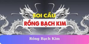 Rồng Bạch Kim – Công Cụ Dự Đoán Lô Đề Tối Ưu Tại F168