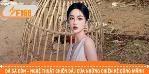 Đá gà đòn - Nghệ thuật chiến đấu của những chiến kê dũng mãnh