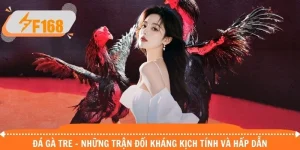 Đá Gà Tre - Những Trận Đối Kháng Kịch Tính Và Hấp Dẫn