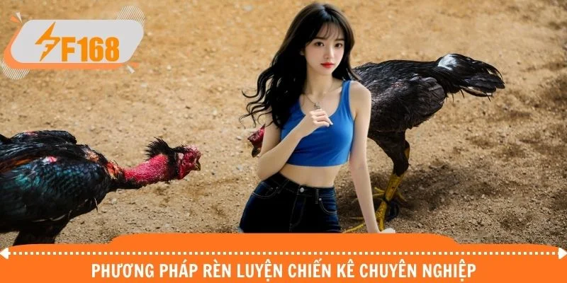 Phương pháp rèn luyện chiến kê chuyên nghiệp
