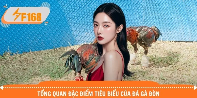 Tổng quan đặc điểm tiêu biểu của đá gà đòn